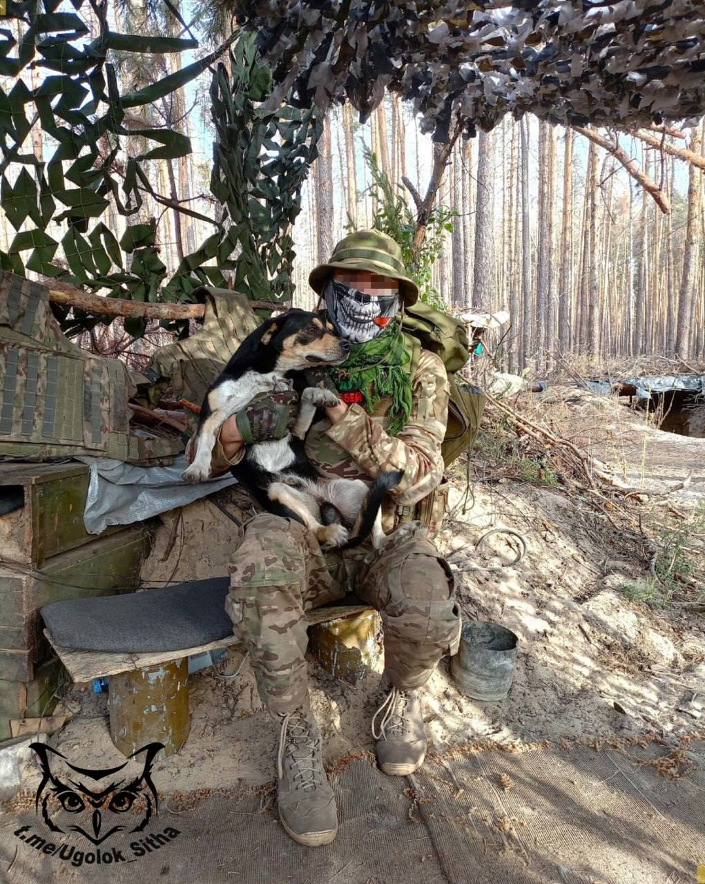 Из рубрики «Нам пишут»: