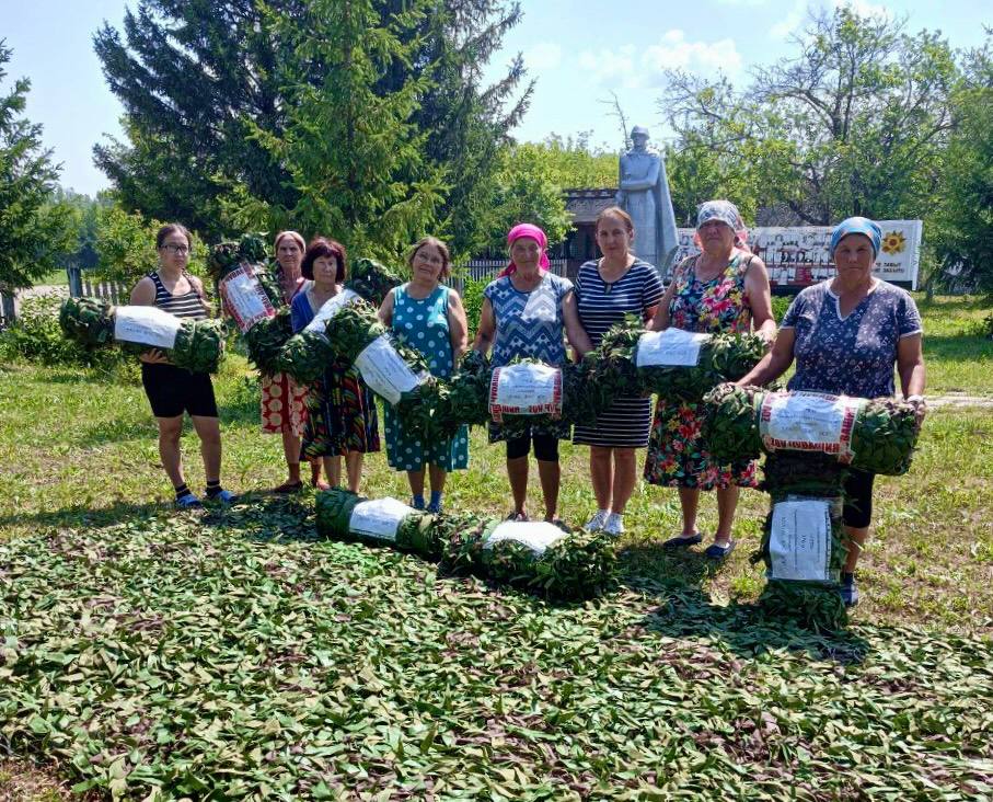 д. Кошноруй Канашского района:
